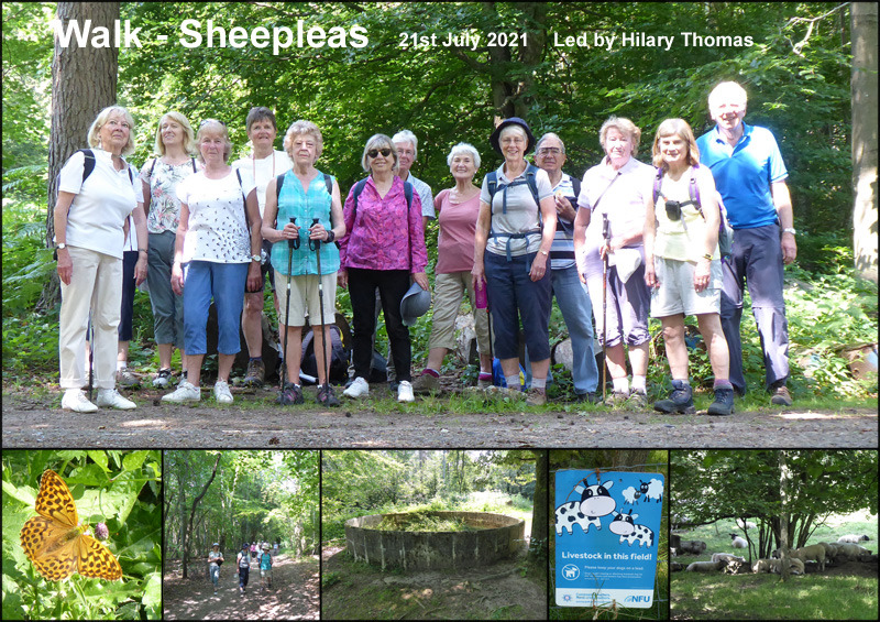 Walk - Sheepleas - 21st July 2021